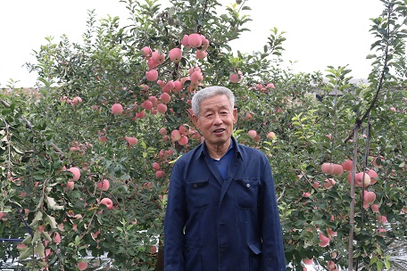 刘沟镇1.3亩果园出租